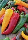 Chili/Peperoni und Paprika Angebote bei toom Baumarkt Cuxhaven für 3,49 €