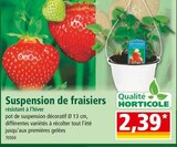 Suspension de fraisiers dans le catalogue Norma