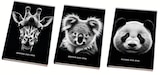 Agenda scolaire Animaux Wild ou Villes - Bureau Vallée Agenda scolaire Animaux Wild ou Villes à 1,35 € dans le catalogue Bureau Vallée