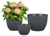 Aktuelle Blumentopf Angebote bei Hagebaumarkt in Essen Aktuelles Pflanzgefäß Palermo Angebot bei Hagebaumarkt in Essen ab 29,99 €
