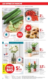 Promos Fleurs dans le catalogue "U Express" de U Express Fleurs en promo dans le catalogue U Express à la page 26