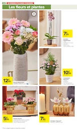 Offre Plantes dans le catalogue Carrefour Market du moment à la page 54