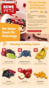 REWE Waldbröl Prospekt der aktuellen Woche, gültig von 31.08.2026 bis 05.09.2026 Aktueller REWE Waldbröl Prospekt "Dein Markt" mit 30 Seiten