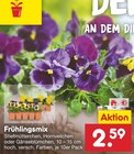 Frühlingsmix Angebote bei Netto Marken-Discount Melle für 2,59 €