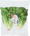 Bio-Salatherzen im tegut Prospekt Bio-Salatherzen von Bioland im aktuellen tegut Prospekt für 1,99 €