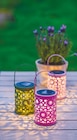 Solar-Laterne im Angebot bei Netto mit dem Scottie in Potsdam Solar-Laterne Angebote von Garden Dream bei Netto mit dem Scottie Potsdam für 5,99 €
