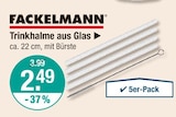 Trinkhalme aus Glas im V-Markt Prospekt Trinkhalme aus Glas von Fackelmann im aktuellen V-Markt Prospekt für 2,49 €