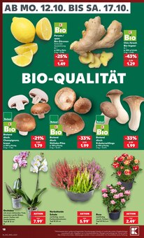 Pflanzen im Kaufland Prospekt "Hier bin ich richtig" mit 80 Seiten (Remscheid)