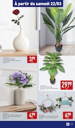 Offre Plante Artificielle dans le catalogue Aldi du moment à la page 40