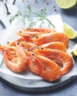 Crevettes cuites - Intermarché Contact à Béziers Crevettes cuites en promo chez Intermarché Contact Béziers à 7,79 €