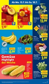 Blumen im Lidl Prospekt in Nürtingen Aktueller Lidl Prospekt mit Blumen, "LIDL LOHNT SICH", Seite 3