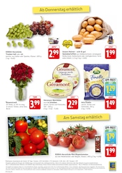 Blumen im EDEKA Prospekt in Saarlouis Aktueller EDEKA Prospekt mit Blumen, "Aktuelle Angebote", Seite 12