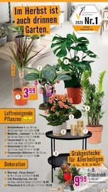 Aktueller Hornbach Prospekt mit Blumentopf, "Wir sagen Danke.", Seite 26