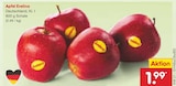 Aktuelle Äpfel Angebote bei Netto Marken-Discount in Mannheim Aktuelles Apfel Evelina Angebot bei Netto Marken-Discount in Mannheim ab 1,99 €