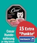 Hundenahrung Angebote von Cesar bei EDEKA Augsburg