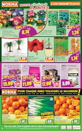 Saucisse Angebote im Prospekt "Votre Discounter Régional" von Norma Saucisse Angebote im Prospekt "Votre Discounter Régional" von Norma auf Seite 4