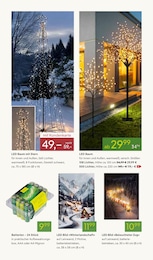 Pflanzen Kölle Batterie im Prospekt Pflanzen Kölle Batterie im Prospekt