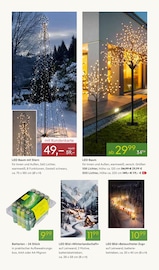 Aktueller Pflanzen Kölle Prospekt mit Batterie, "ADVENTS GLANZ", Seite 12