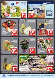 Erdbeeren Angebot im aktuellen EDEKA Prospekt auf Seite 5