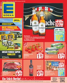 Tomaten im EDEKA Prospekt "Aktuelle Angebote" mit 18 Seiten (Potsdam)