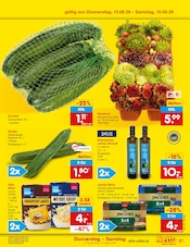 Zucchini im Netto Marken-Discount Prospekt in Gelsenkirchen Aktueller Netto Marken-Discount Prospekt mit Zucchini, "Aktuelle Angebote", Seite 51
