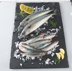 Maquereaux ou Sardines - Pavillon France en promo chez Auchan Supermarché Antony à 3,99 €