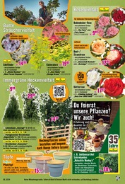 Blumentopf Angebot im aktuellen Hornbach Prospekt auf Seite 14