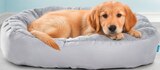 Hundekotbeutel Angebote von ZooRoyal bei REWE Gießen für 1,99 €