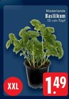 Aktuelles Basilikum Angebot bei EDEKA in Mönchengladbach ab 1,49 €