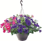Suspension - Colruyt à Saint-Étienne Suspension en promo chez Colruyt Saint-Étienne à 12,99 €