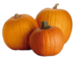 Speisekürbis Halloween bei EDEKA Frischemarkt im Handorf Prospekt für 3,99 €