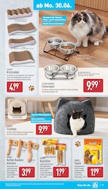 Aktueller ALDI Nord Prospekt mit Katzenfutter, "Aktuelle Angebote", Seite 15