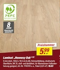 Laminat „Hennessy Oak“ im Angebot bei toom Baumarkt in Wolfenbüttel Laminat „Hennessy Oak“ Angebote bei toom Baumarkt Wolfenbüttel für 5,99 €