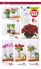 Fleurs Angebote im Prospekt "Super U" von Super U Fleurs Angebote im Prospekt "Super U" von Super U auf Seite 43