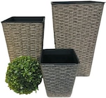 Rattan-Pflanztopf ca. 18 x 18 x 20 cm für 6,99 € bei Netto mit dem Scottie im Angebot Rattan-Pflanztopf ca. 18 x 18 x 20 cm im aktuellen Netto mit dem Scottie Prospekt