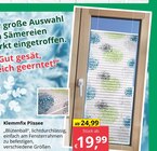 Klemmfix Plissee Angebote bei Bauzentrum Reinholdshain Freital für 19,99 €