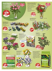 Aktueller V-Markt Prospekt mit Blumenerde, "V-Markt einfach besser einkaufen", Seite 16