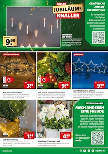 Blumen im Hagebaumarkt Prospekt "UNSERE JUBILÄUMS KNALLER" mit 20 Seiten (Rostock)