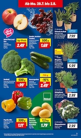 Weintrauben im Lidl Prospekt in Augsburg Aktueller Lidl Prospekt mit Weintrauben, "LIDL LOHNT SICH", Seite 3