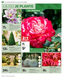 Prix et réduction Rosier dans le prospectus Carrefour en cours Offre Rosier dans le catalogue Carrefour du moment à la page 8