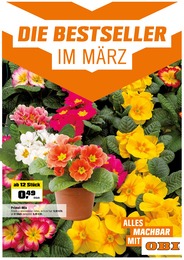 Baumarkt Prospekt von OBI Bad Hersfeld OBI Prospekt: "Top Angebote", 4 Seiten, 18.03.2023 - 25.03.2023
