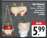 Deko-Pflanztopf Angebote bei E center Zwickau für 5,99 €