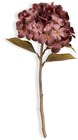 JYSK Kunstblume STIAN H46 cm bordeaux im Angebot bei JYSK in Wetzlar JYSK Kunstblume STIAN H46 cm bordeaux Angebote von JYSK bei JYSK Wetzlar für 2,50 €