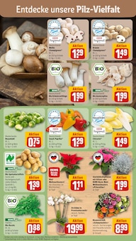 Kartoffeln im aktuellen REWE Prospekt (Würzburg) Kartoffeln im REWE Prospekt "Dein Markt" mit 22 Seiten (Würzburg)