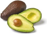 Avocado vorgereift im Netto mit dem Scottie Prospekt Avocado vorgereift im aktuellen Netto mit dem Scottie Prospekt für 1,19 €