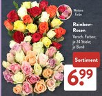 Rainbow-Rosen im aktuellen ALDI SÜD Prospekt