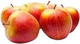 Aktuelle Äpfel Angebote bei REWE in Krefeld Aktuelles Tafelapfel Wellant Angebot bei REWE in Krefeld ab 2,22 €