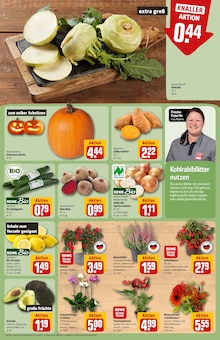 Pflanzen im aktuellen REWE Prospekt (Heidelberg) Pflanzen im REWE Prospekt "Dein Markt" mit 34 Seiten (Heidelberg)