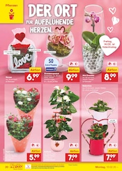 Aktueller Netto Marken-Discount Prospekt mit Blumen, "Aktuelle Angebote", Seite 30