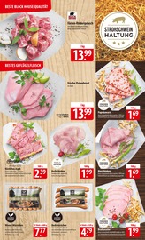 Aktueller famila Nordost Prospekt mit Pute, "besser als gut!", Seite 3